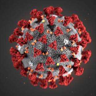 Coronavirus Coronavirus