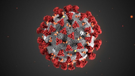 Coronavirus Coronavirus